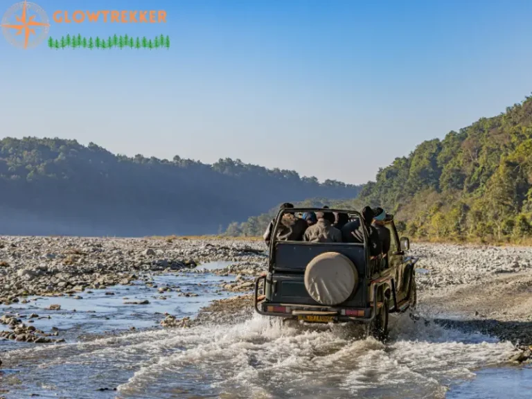 Jim Corbett National Park Safari